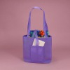 Nonwoven shipping bag for Wine