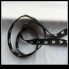 Nylon Dog Lead Webbing