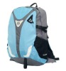 Nylon backpack,deluxe bags,classic backpack