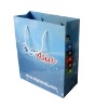 OEM Paper shopping bag