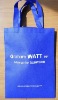 OEM non woven bags(N600494)