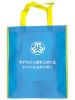 OEM non-woven shopping bag(N600253)