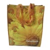 OEM pp non woven bags(N800226)