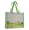 OEM promotional bags(N800283)