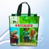 OPP Lamination Woven Shopping bag