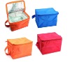 Orange Green Red Wine Bottle Ice Cooler Bag