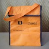 Orange color cooler bag DT-B1037