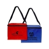 Outdoor Cooler Bag 42-004