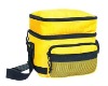 Outdoor Cooler bag