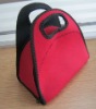 Outdoor Picnic Lunch Bag