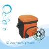 Outdoor cooler bag