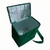 Outdoor cooler bag