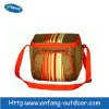 Outdoor cooler bag for for frozen food