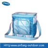 Outdoor cooler bag for picnic