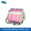 Outdoor cooler bag for picnic