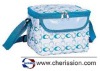 Outdoor insulated picnic cooler bag