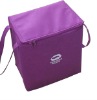 Outdoor picnic cooler bag