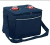 Outdoor  plastic handle  lunch box cooler bag with cheap price