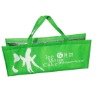 Outdoor use non woven print cooler bag for mooncake