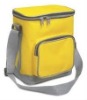 (P3)--2011 Hot Sale Newest Outdoor Picnic Cooler Bag