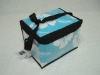 PE cooler lunch bag