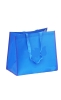 PET non-woven Shopping Bag