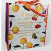 PET non woven bag
