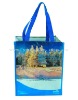 PET non woven laminated advertising bag