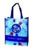 PET woven shopping bag