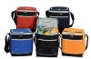 PICNIC BEACH OUTDOOR 12-PACK INSULATED COOLER BAG