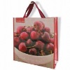 PM-NWS-058 non-woven shopping bag with customized logo