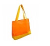 POPULAR NEW DESIGN Non Woven Bag