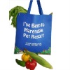 PP Non Woven Bag