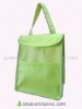 PP Non-Woven Cooler Bags for Food