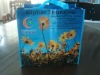 PP Non Woven Shopping Tote Bag