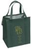 PP Non-woven Picnic Cooler Bag