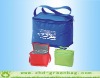 PP Non woven Promotional Bag