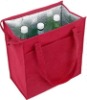 PP Non-woven cooler bags