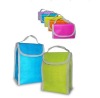 PP Non-woven foldable cooler bags