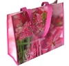 PP Non-woven shopping bag