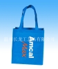 PP Non woven shopping bag(CL-209)