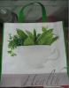 PP Nonwoven Shopping Bag