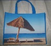 PP Nonwoven Shopping Bag