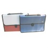 PP Plastic Briefcase/portfolio