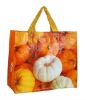 PP WOVEN BAG &COOP BAG & SHOPPING BAG & MARKET BAG