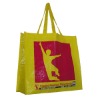PP Woven Gift Bag for Promotion