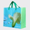 PP Woven Grocery Bag for Shopping