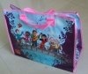 PP Woven Promotion Bag