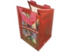 PP Woven Promotional Bag