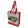 PP Woven Shopping Bag